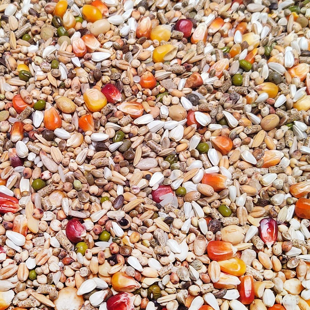 Vanrobaeys Nr.53 Sport Ultra Pro - Revolution 20kg 1 Vanrobaeys Nr.53 Sport Ultra Pro - Revolution 20kg