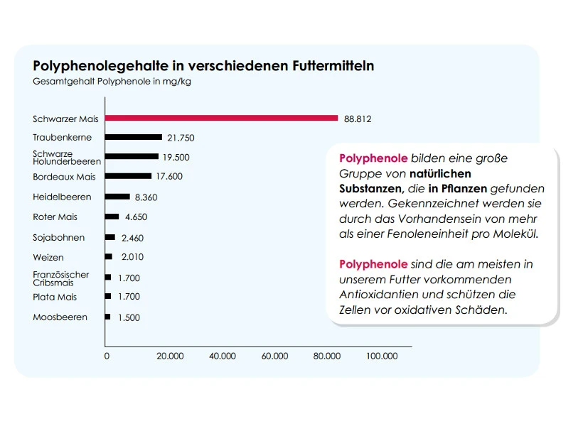 Versele Master Witwer 20kg 3 Versele Master Witwer 20kg – Bild 3