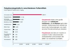Versele Junior Plus I.C.⁺ 20kg 6 Versele Junior Plus I.C.⁺ 20kg -Matador Verkaufsgeschäft antioxidantien 17