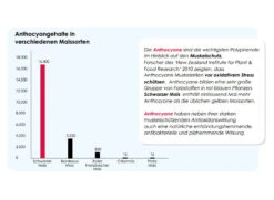 Versele Superstar Plus IC+ Black Label 20kg -Matador Verkaufsgeschäft antioxidantien 214