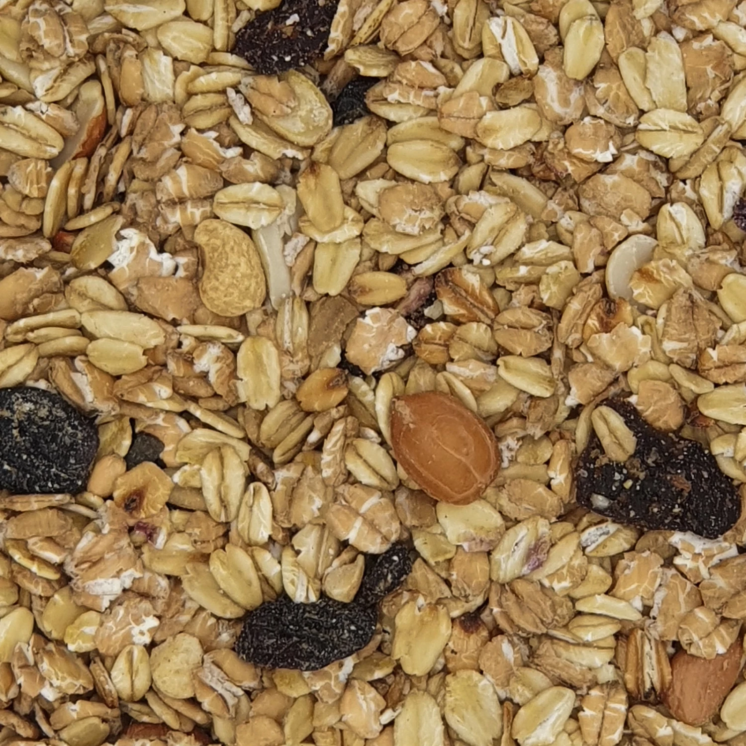 Gevo Fettfutter Premium 25kg 1 Gevo Fettfutter Premium 25kg