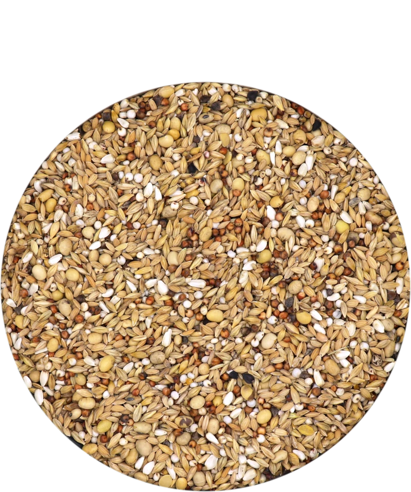 Versele Hirn 1 20kg 1 Versele Hirn 1 20kg