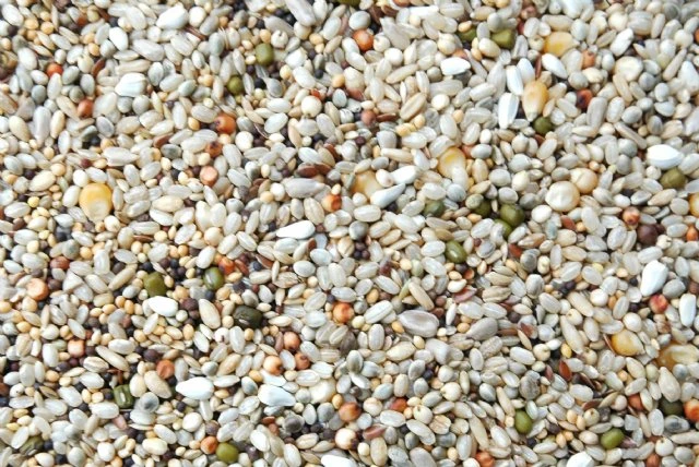 Matador Boarding Mix 20kg 1 Matador Boarding Mix 20kg