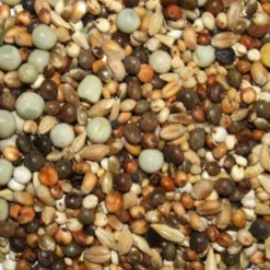 Spinne Rasse K - Kurzschnäbler 25kg