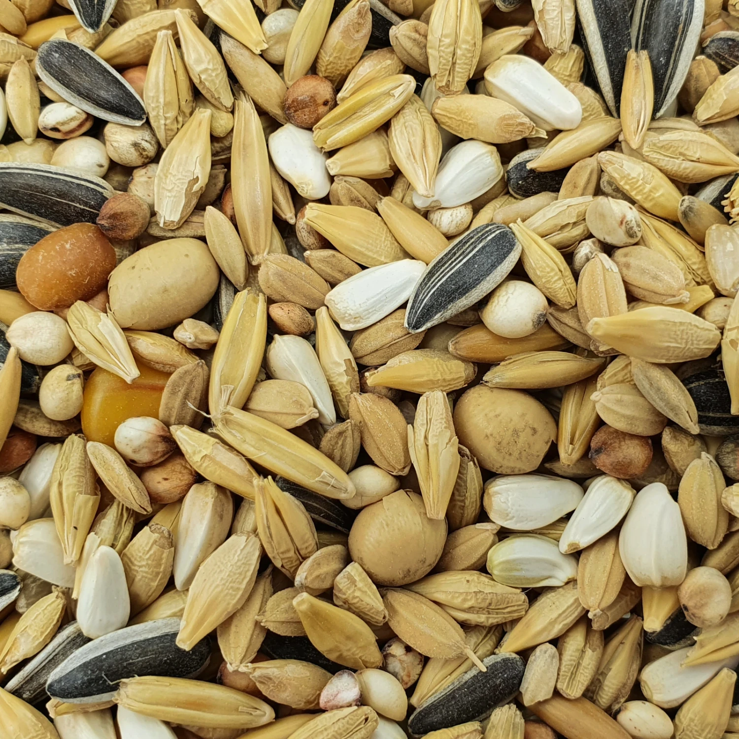 Spinne Huth 4 20kg 1 Spinne Huth 4 20kg