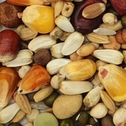 Vanrobaeys Nr.1968 Taubenfuttermischung 25kg