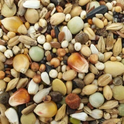 Versele Mauser Active Life 25kg