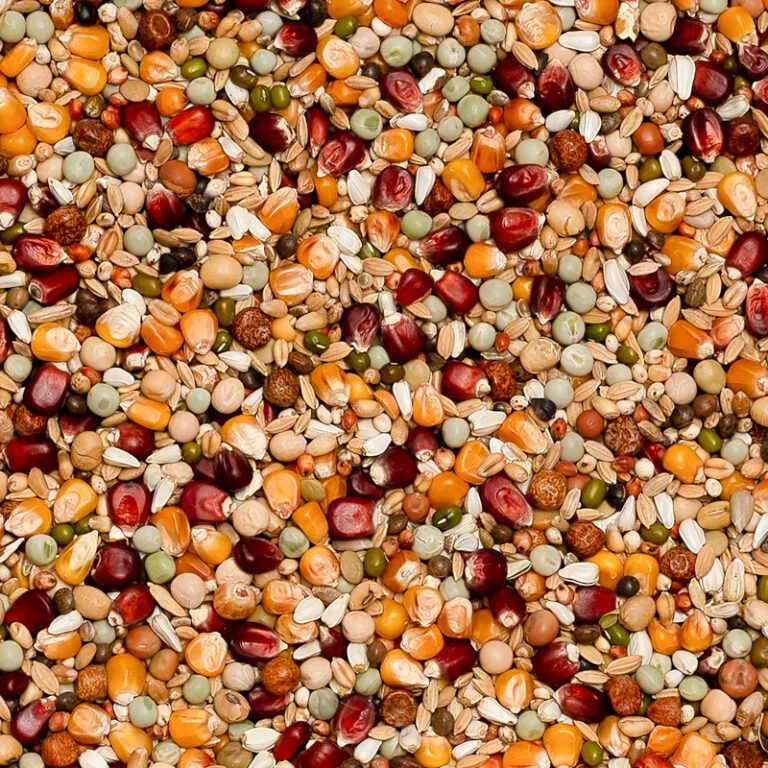 Matador Verkaufsgeschäft -Matador Verkaufsgeschäft beyers premium jelle jellemann 20kg 768x768 2